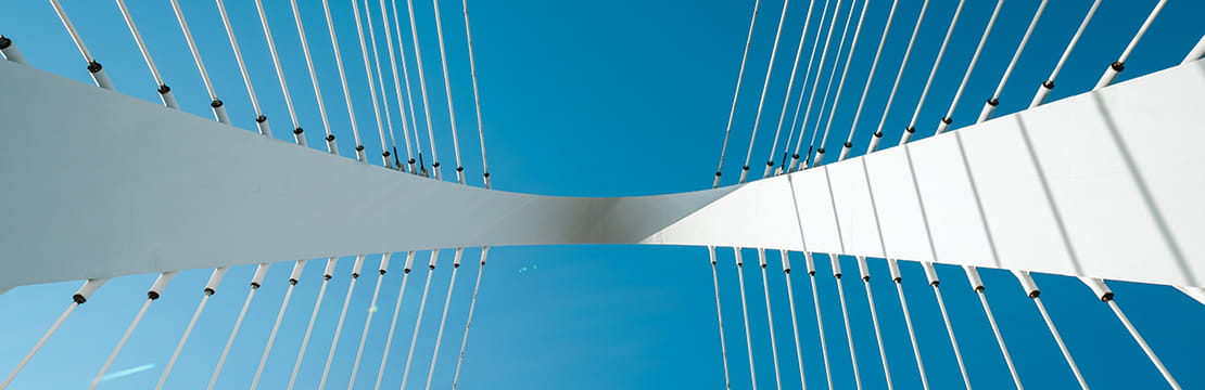 Consumption is the anchor, but investment drives the cycle